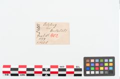 Etiketten zu Bronzerollenkopfnadel (NHMW-PRAE-024883)